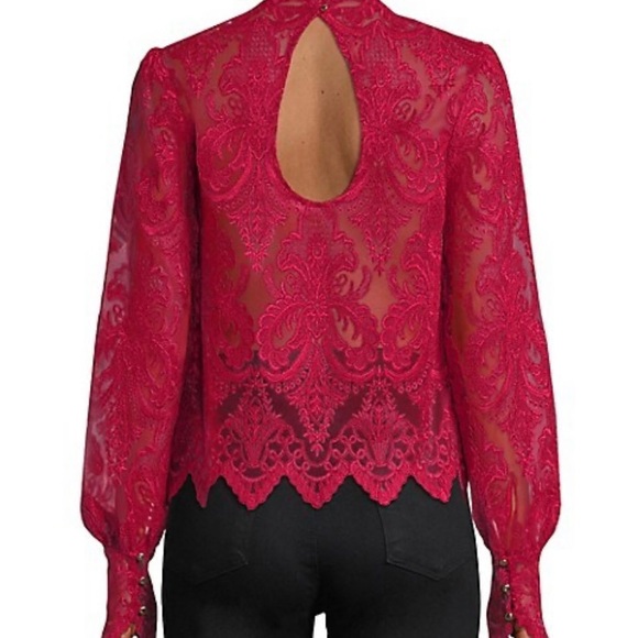 Saylor Norma Lace Blouse - Picture 5 of 6